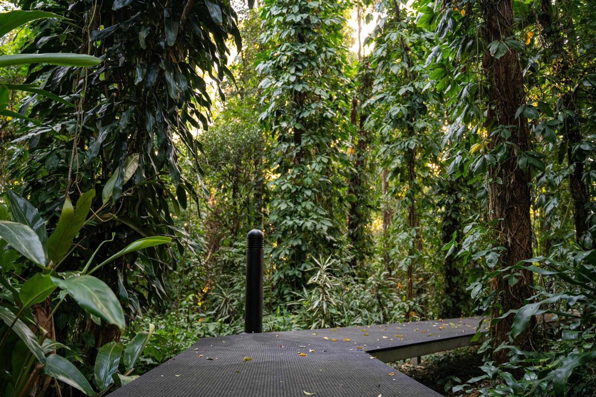 Invercauld House Goonellabah Экстерьер фото