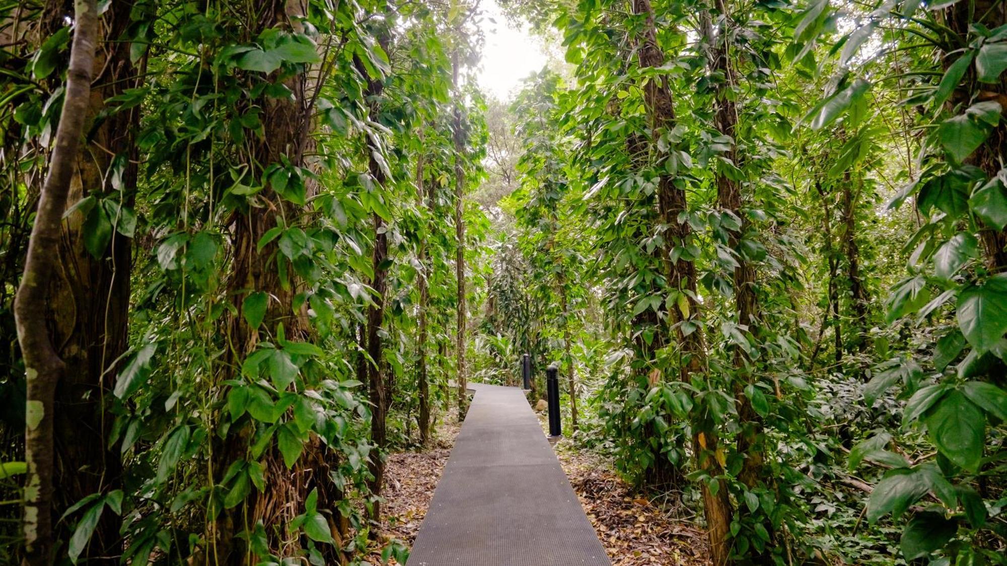 Invercauld House Goonellabah Экстерьер фото
